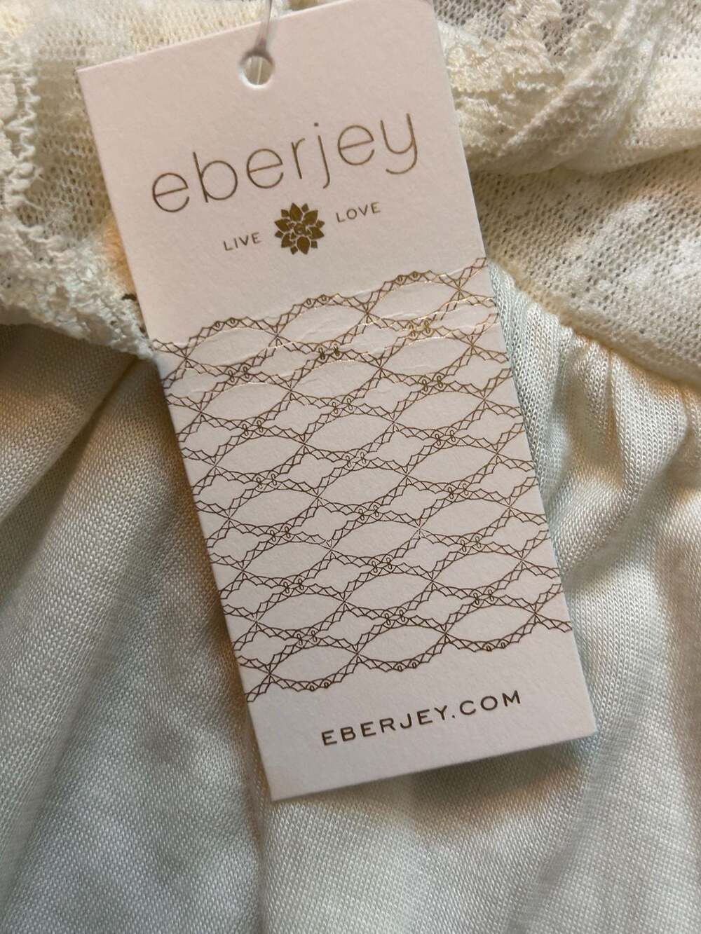 Eberjey Delirious Chemise in Ivory NWT - Picture 10 of 11